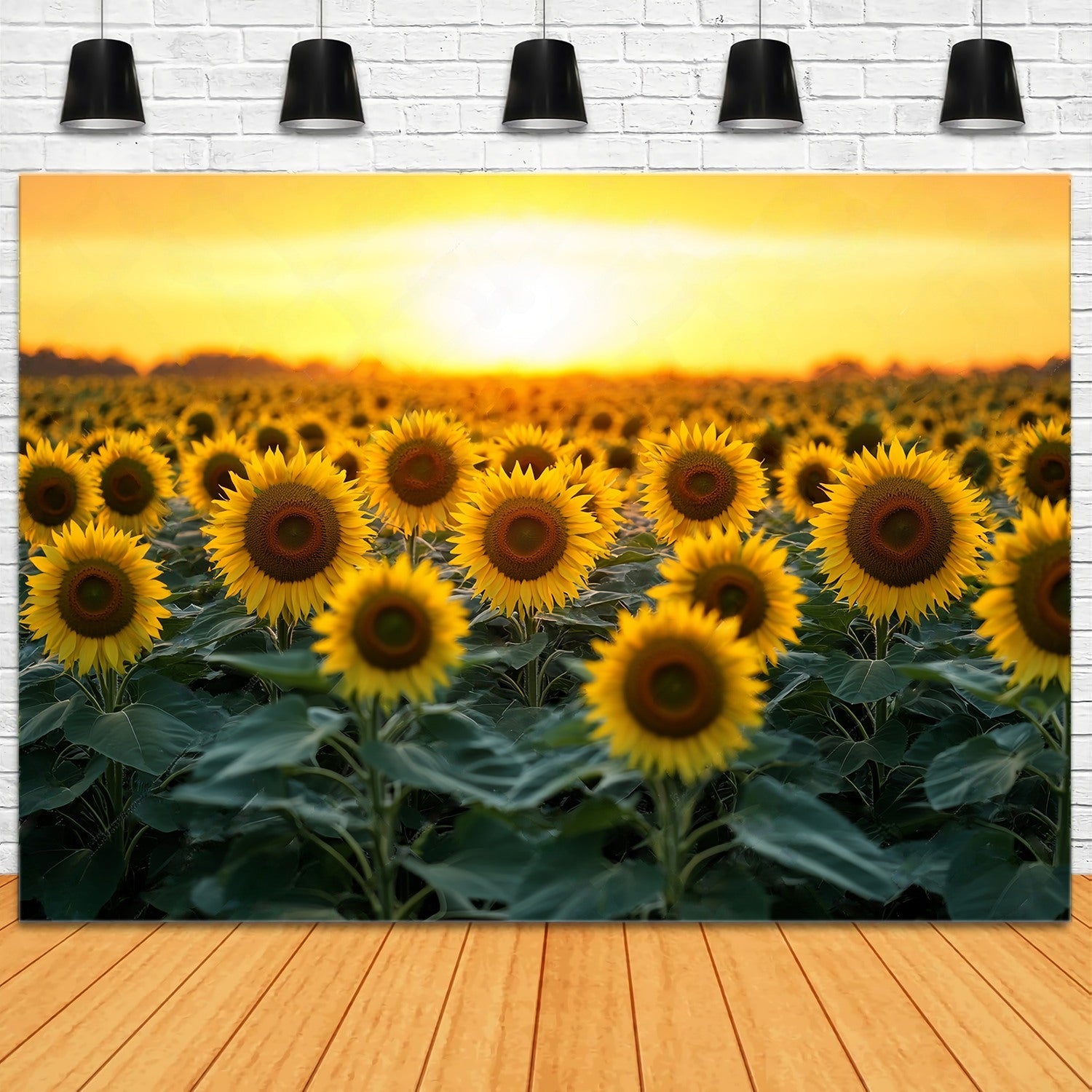 Fall Photo Backdrops Golden Sunflower Bloom Field Sunflower Backdrop UK LXX58-162