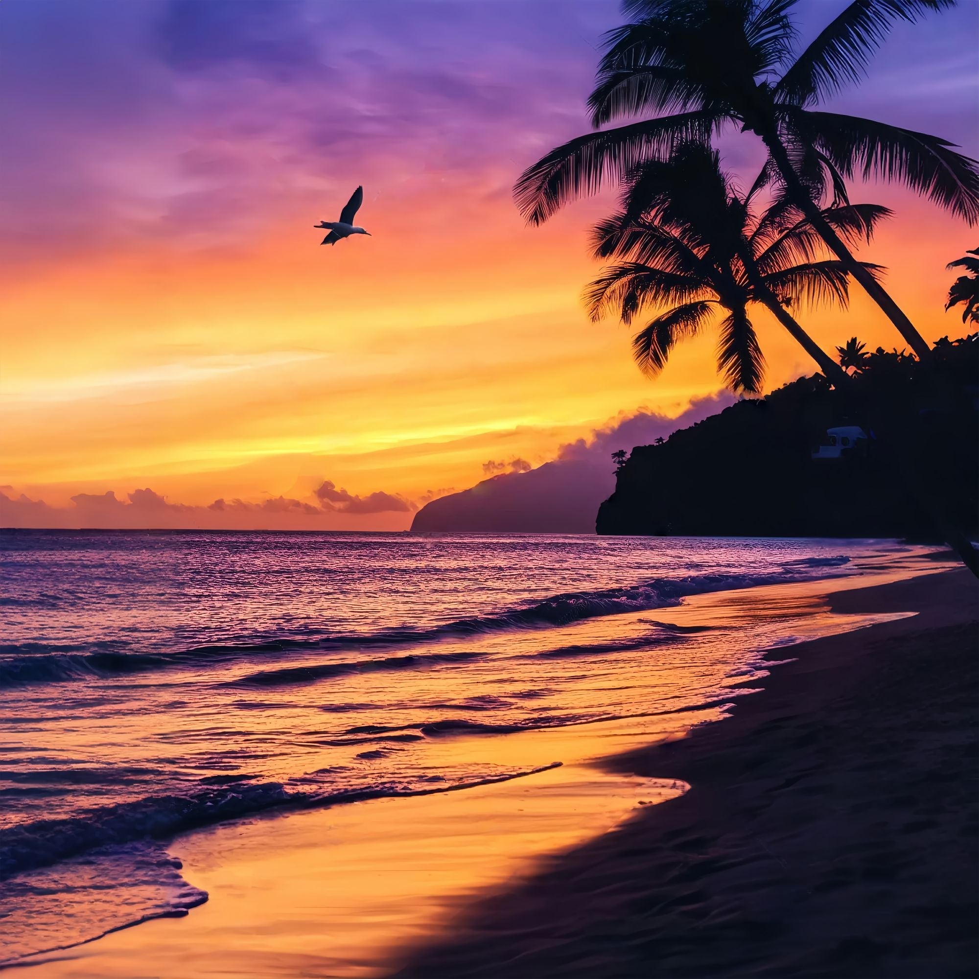 Fall Backdrop Tropical Sunset Palm Silhouette Sunset Backdrop UK LXX58-163