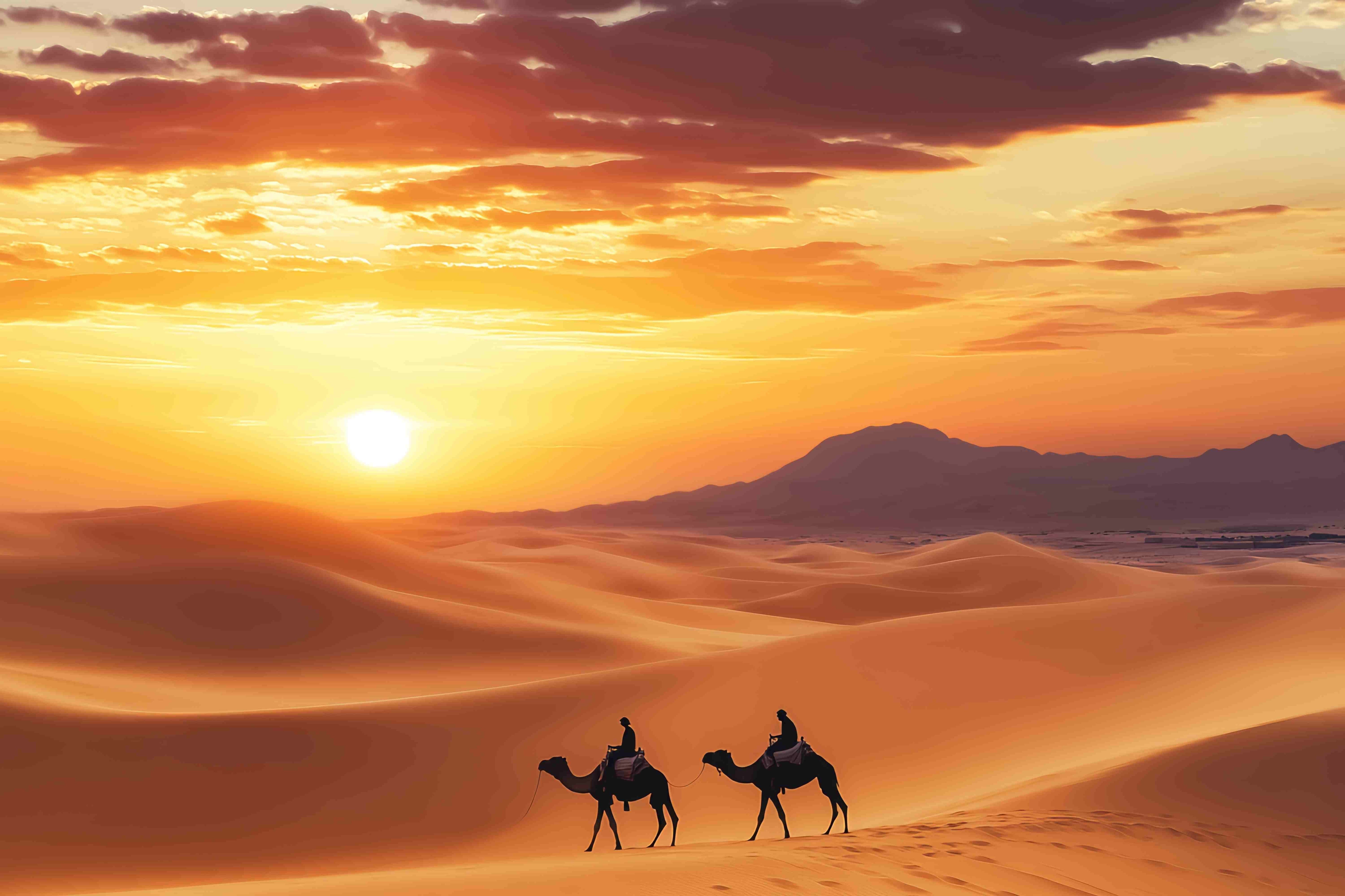 Fall Backdrop Ideas Golden Desert Caravan Silhouette Sunset Backdrop UK LXX58-173