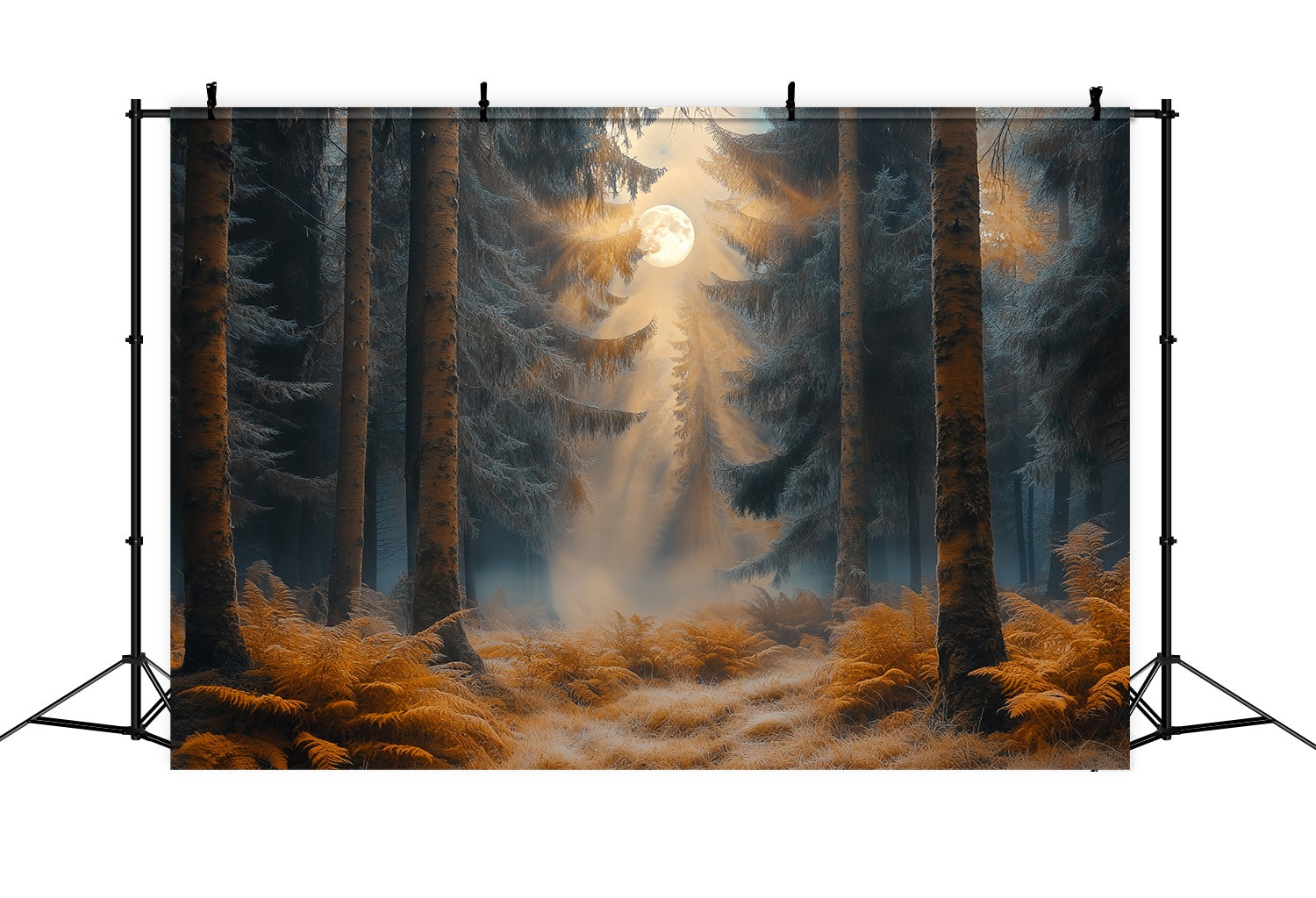 Autumn Backdrop Enchanted Moonlit Autumn Forest Forest Backdrop UK LXX58-185