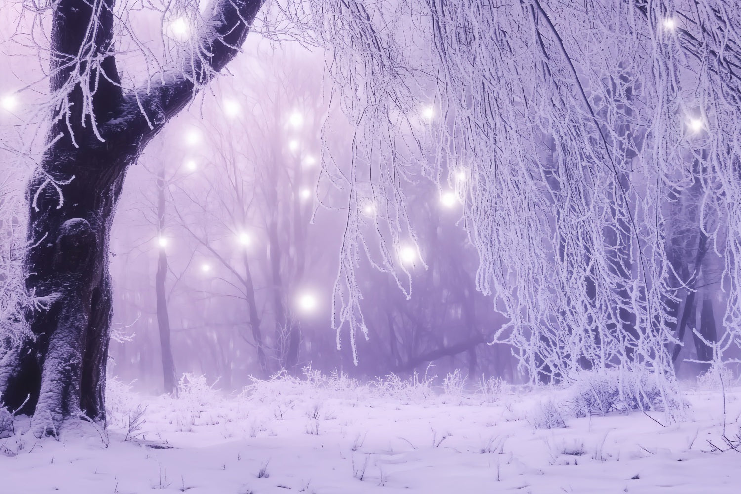 Winter Wonderland Backdrop Enchanted Forest Icy Lights Winter Backdrops UK LXX58-226