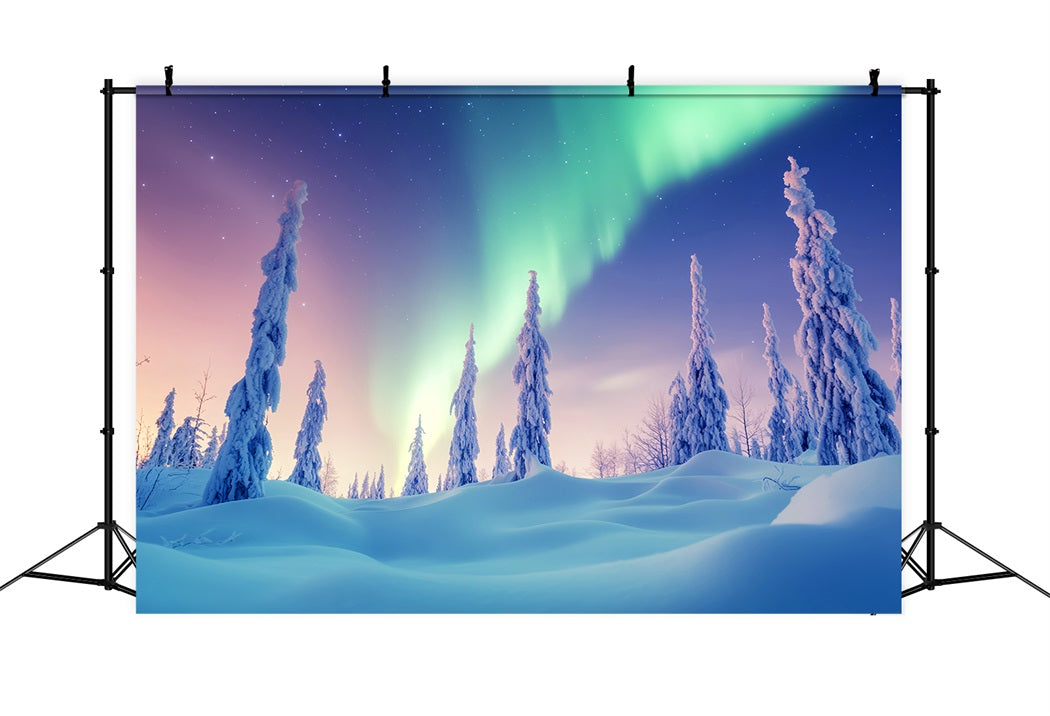 Winter Wonderland Backdrop Aurora Sky Frosted Woods Winter Photo Backdrop UK LXX58-231