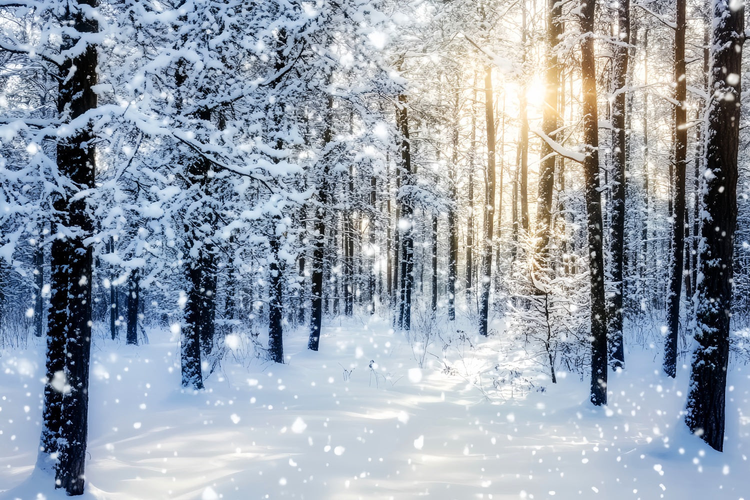Snowy Forest Sparkling Sunrise Winter Woods Woodland Forest Backdrop UK LXX58-276