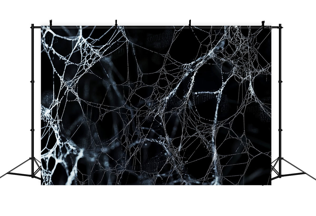 Halloween Backdrop Midnight Spider Web Net Backdrop UK LXX58-9
