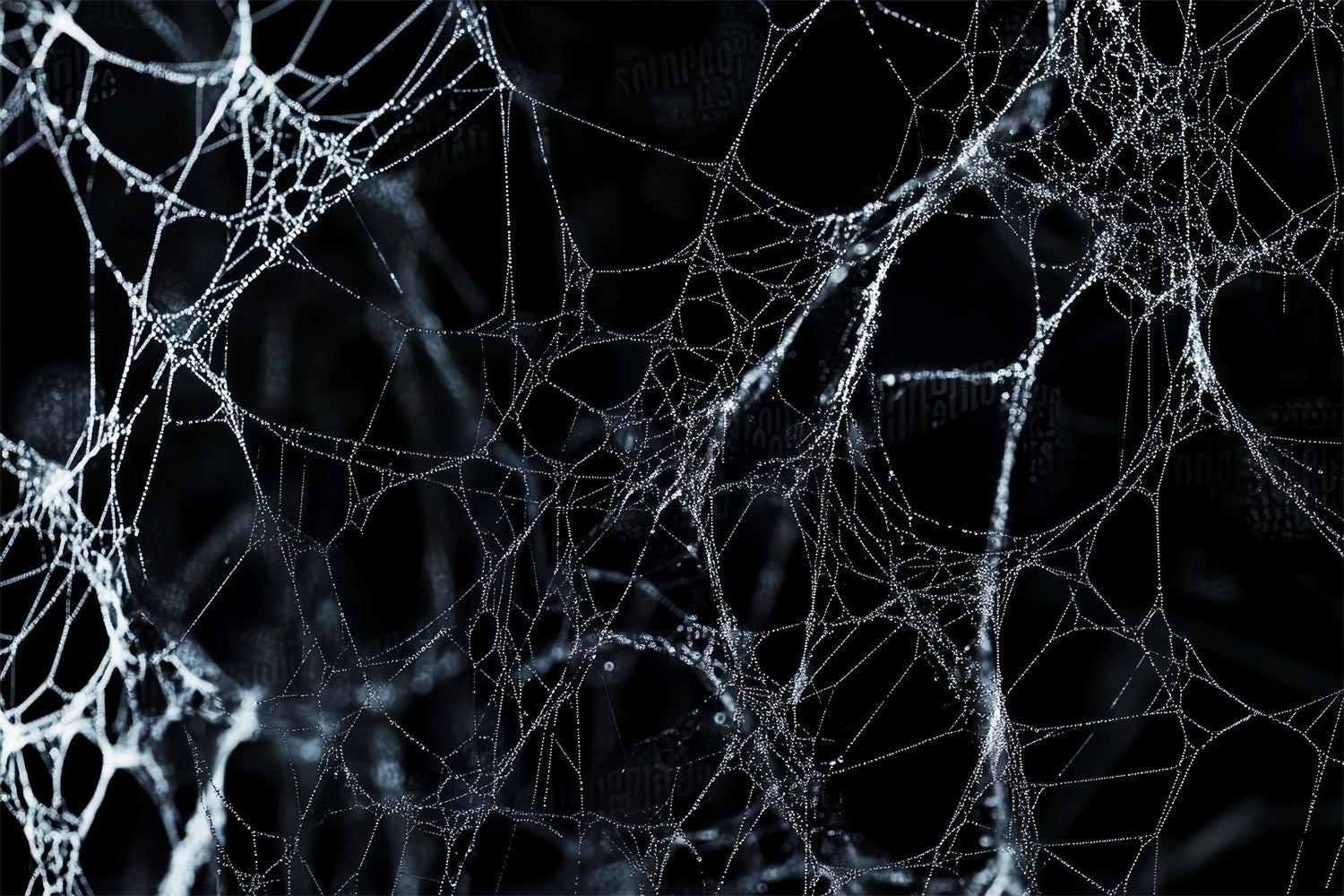 Halloween Backdrop Midnight Spider Web Net Backdrop UK LXX58-9
