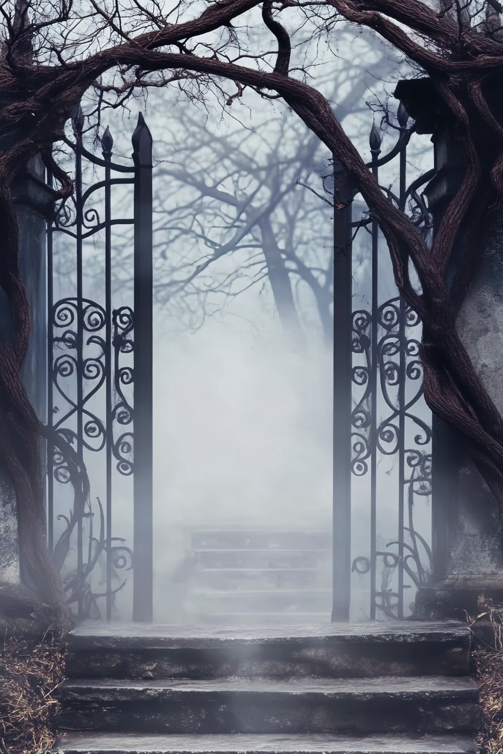 Haunted Forest Backdrop Foggy Cemetery Iron Gate Halloween Picture Backdrop UK LXX59-125