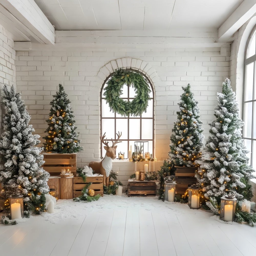 Christmas Tree Backdrop Rustic Reindeer Snowy Pine Lanterns Christmas Backdrop UK LXX59-170