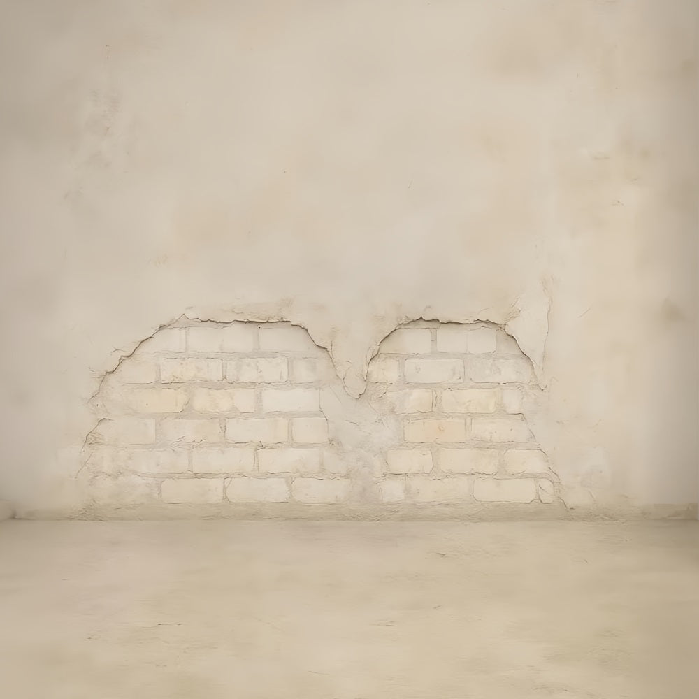 Concrete Wall Backdrop Light Brick Vintage Texture School Portrait Backdrop UK LXX59-422