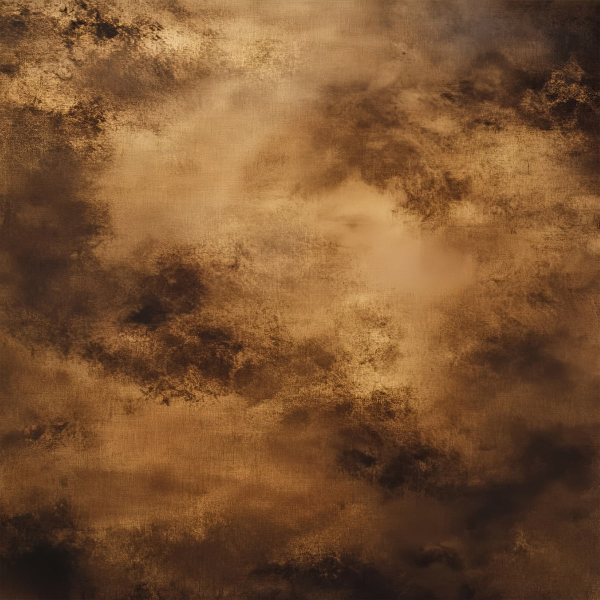 Backdrops For Family Portraits Warm Sepia Painterly Texture Portrait Backdrop UK LXX61-24