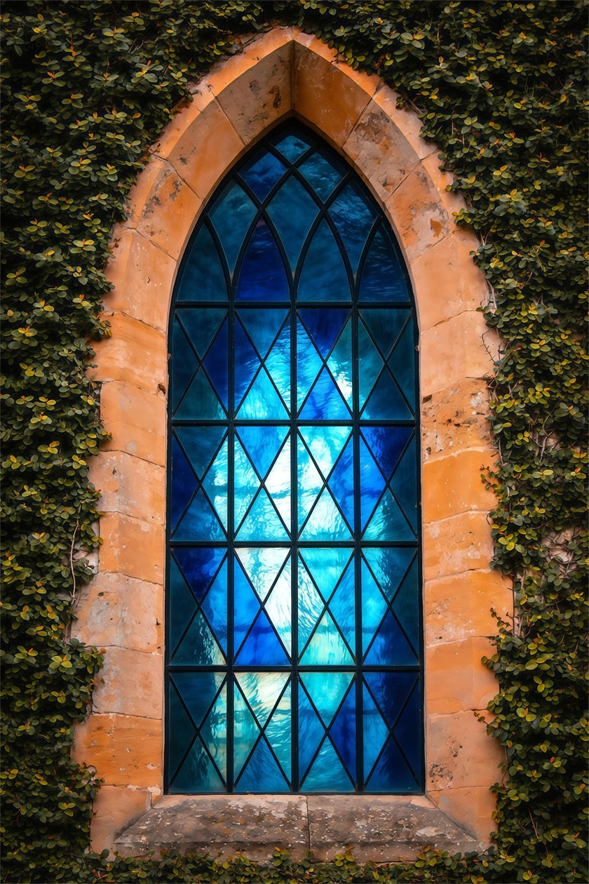 Easter Religious Backdrops Ivy Framed Gothic Blue Window Easter Backdrops For Photos UK LXX62-66