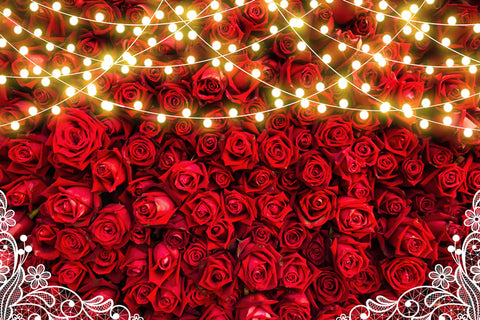 Red Roses Lights Decoration Floral Backdrop UK M-59