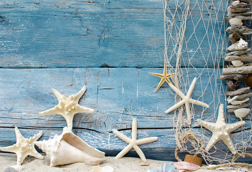 Summer Sandy Beach Starfish Shell Backdrop UK M-90