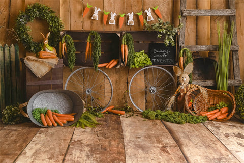Easter Carrot Shop Wooden Board Decorative Backdrop M1-32