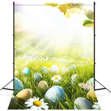 Easter Egg Daisy Sunshine Leaf Lawn Backdrop M1-53