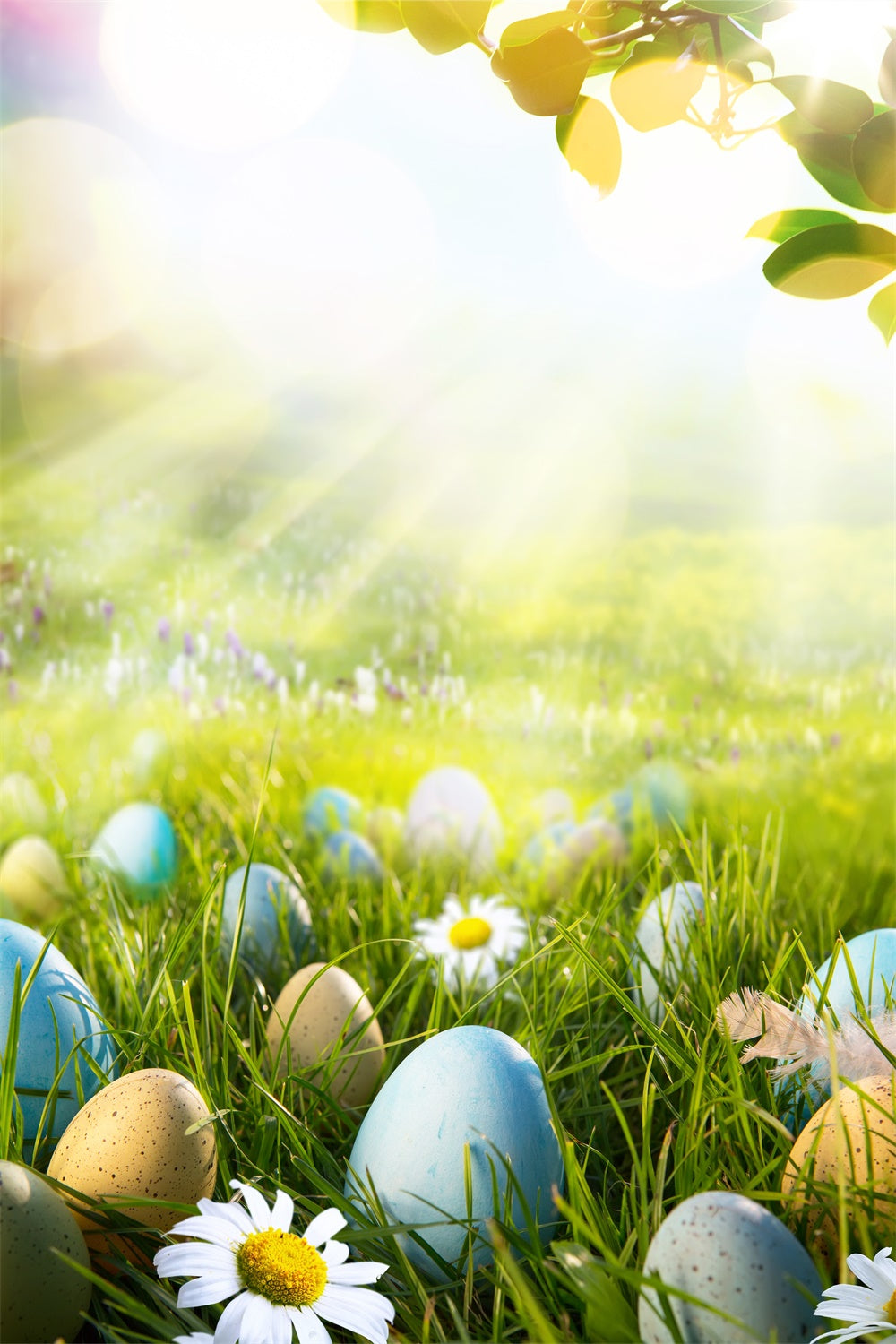 Easter Egg Daisy Sunshine Leaf Lawn Backdrop M1-53