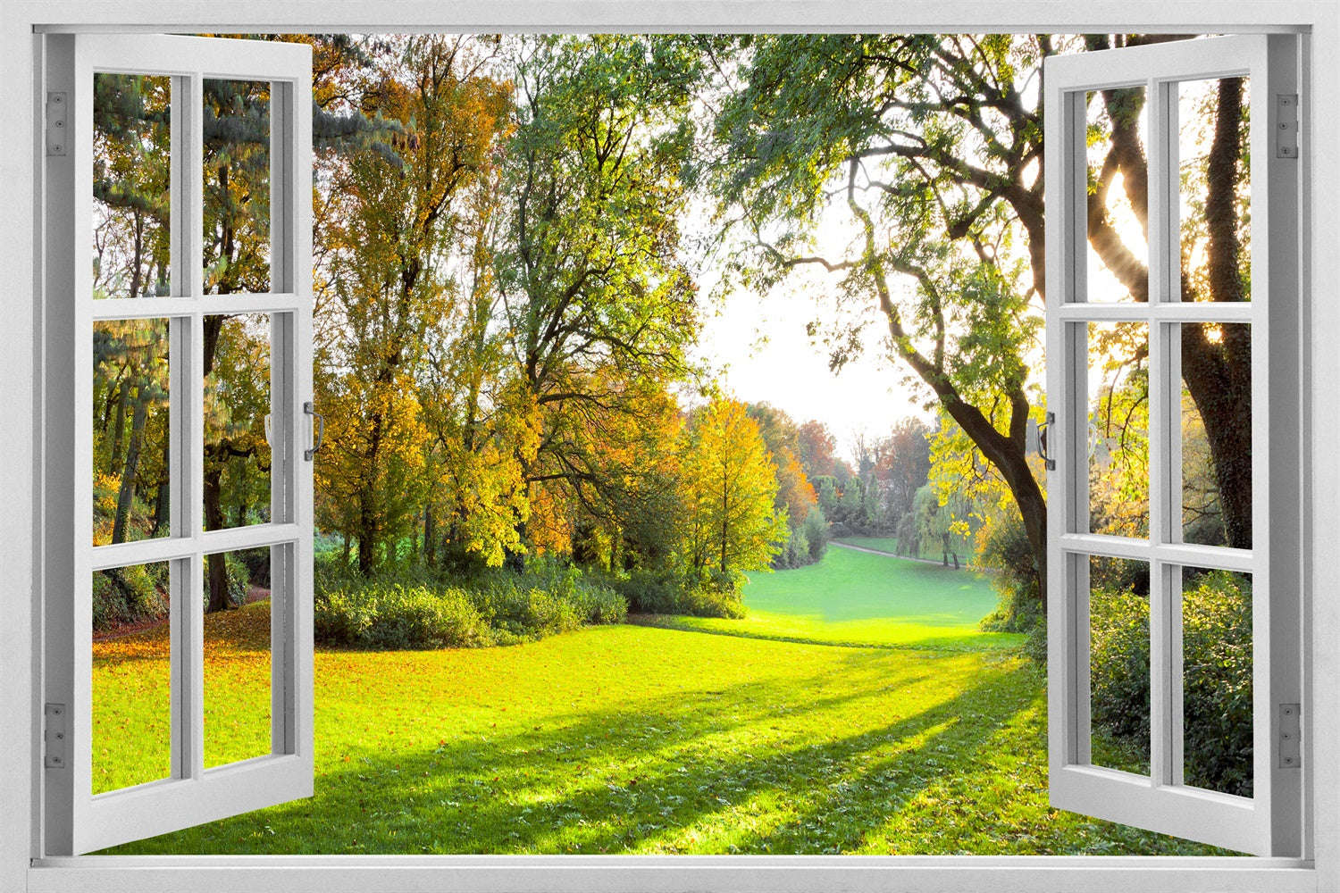 Early Spring Window View Tall Woods Recovery Backdrop M1-59