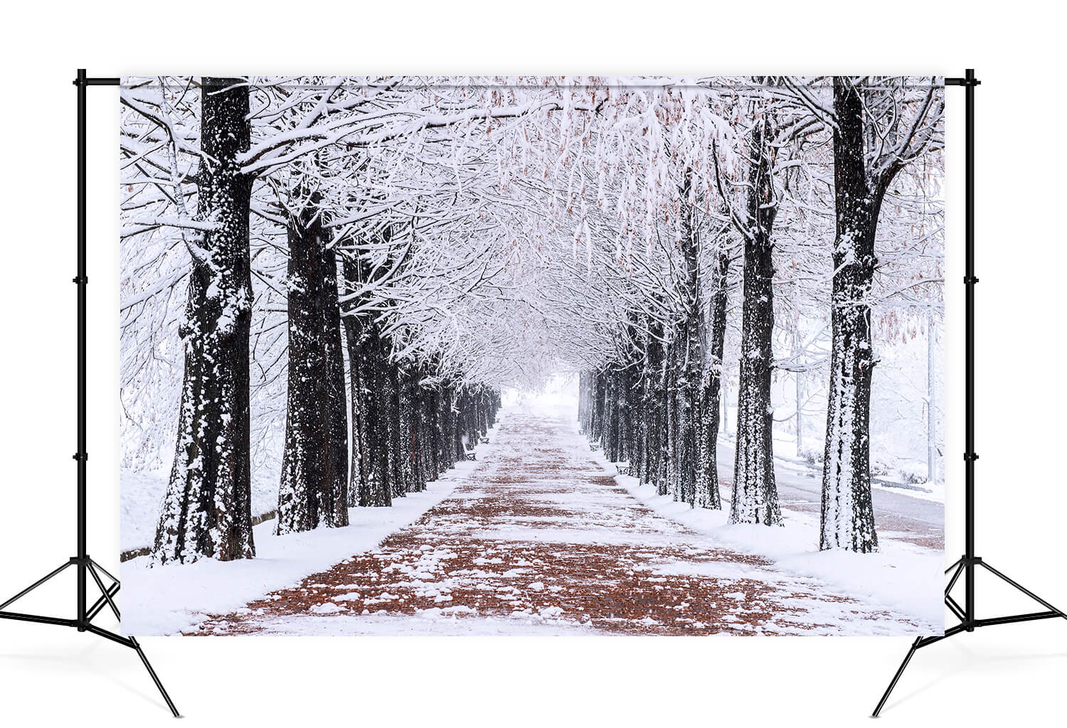 Winter Snowy Trees Walking Path Backdrop UK M10-08