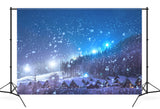 Winter Snow Village Forest Night View Backdrop UK M10-14
