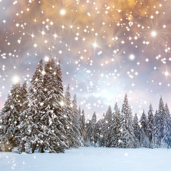 Snow Winter Fir Trees Twinkling Stars Backdrop UK M10-15