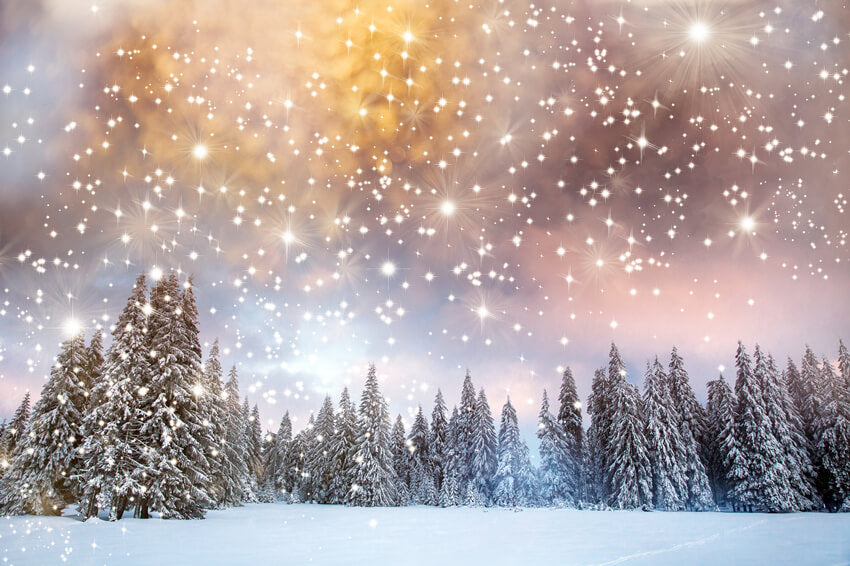 Snow Winter Fir Trees Twinkling Stars Backdrop UK M10-15