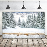 Winter Mountain Forest Snow Scene Backdrop UK M10-44