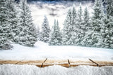 Winter Mountain Forest Snow Scene Backdrop UK M10-44