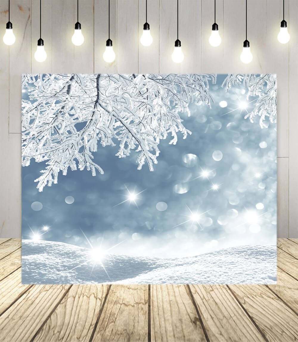 Frozen Winter Snowflake Landscape Backdrop UK M10-49