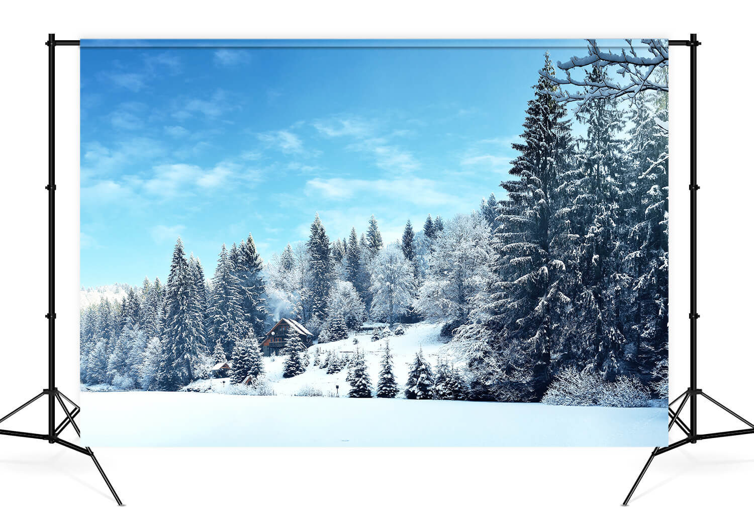 Winter Pine Tree Forest Snow Landscape Backdrop UK M10-66