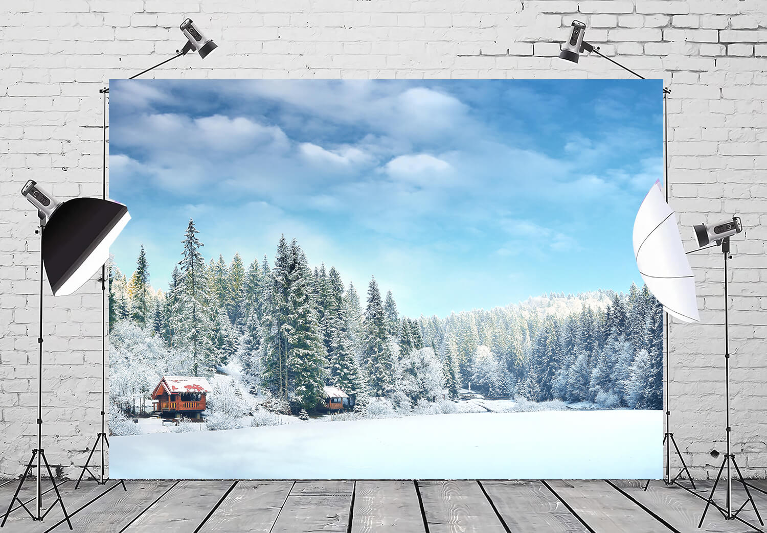 Snowy Winter Forest Village Scenery Backdrop UK M10-67