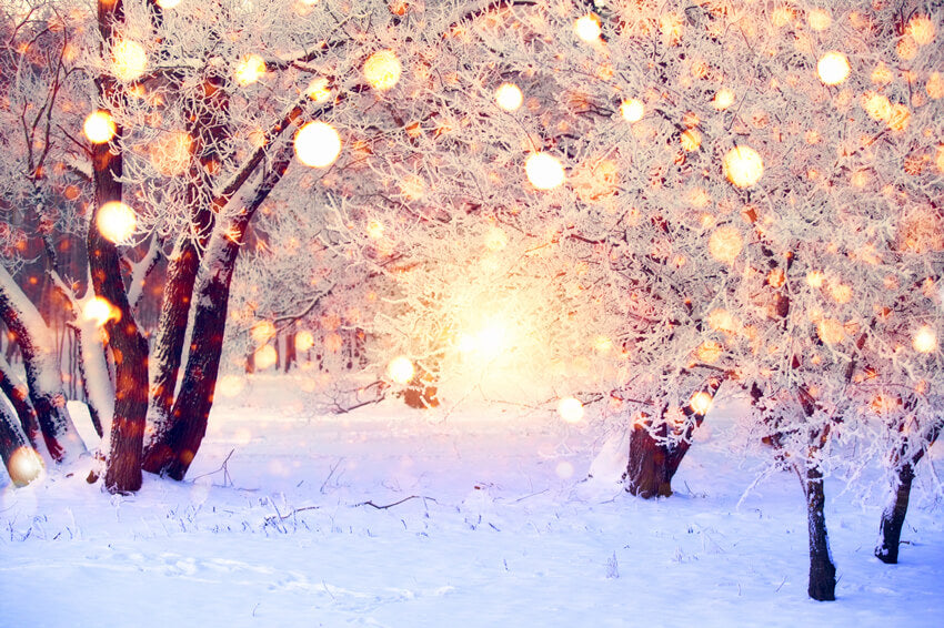 Winter Snow Glitter Lights Photography Backdrop UK M10-71