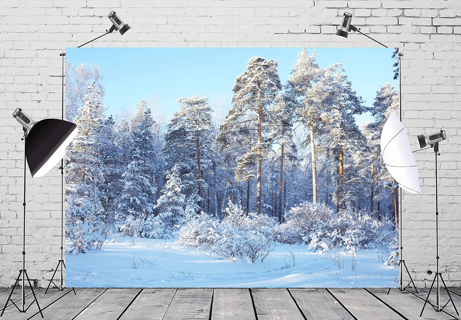 Winter Pine Forest Snow Wonderland Backdrop UK M10-73