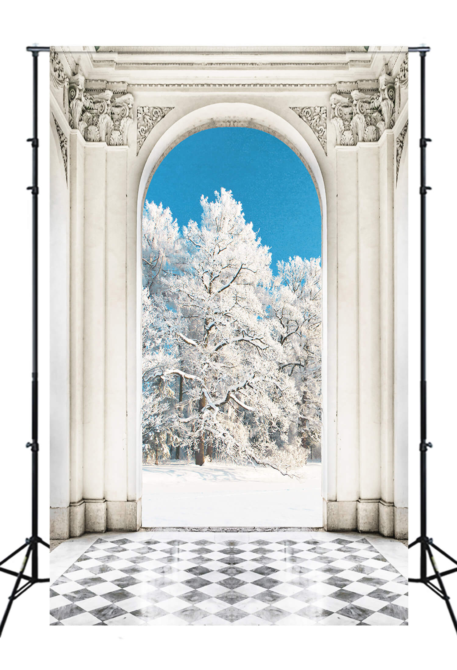 Winter Pine Trees Palace Door View Backdrop UK M10-78