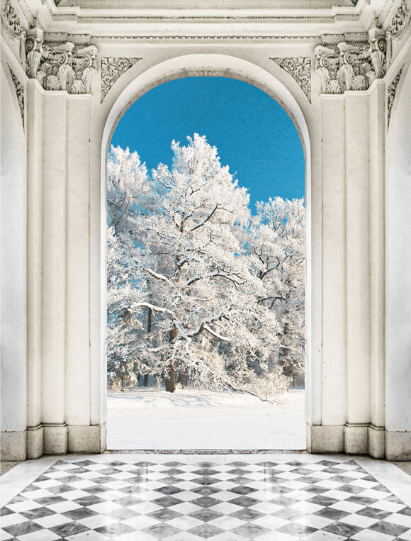 Winter Pine Trees Palace Door View Backdrop UK M10-78