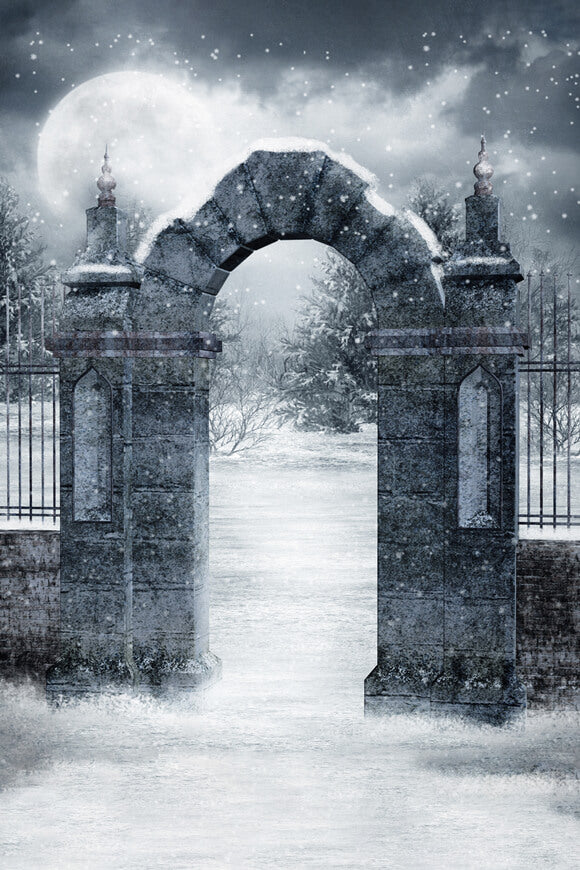 Snowy Gothic Cemetery Gate Winter Backdrop UK M11-04