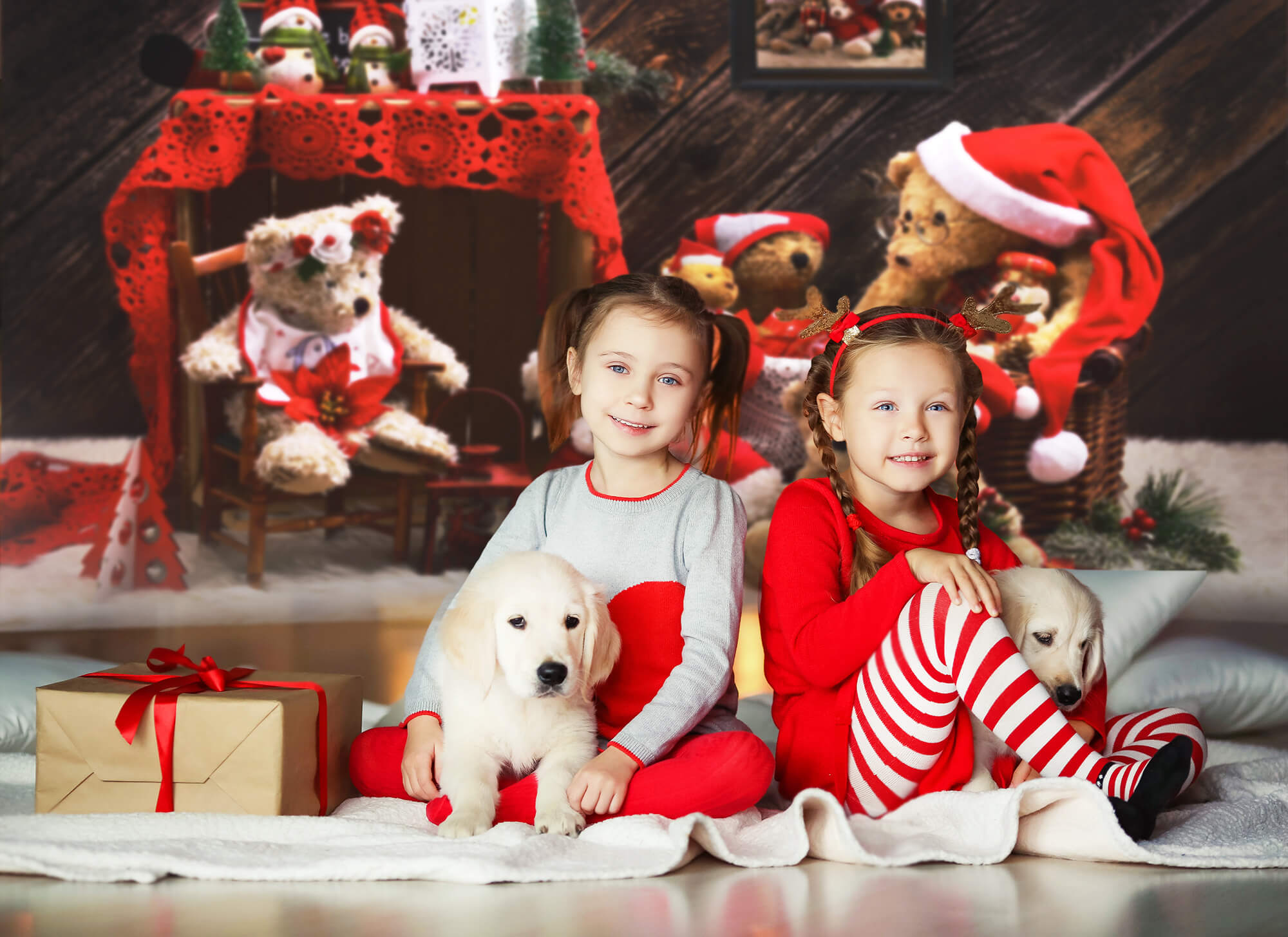 Christmas Teddy Bears Backdrop for Photography UK M11-08