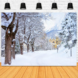 Winter Snowy Trees Road Castle Backdrop UK M11-12