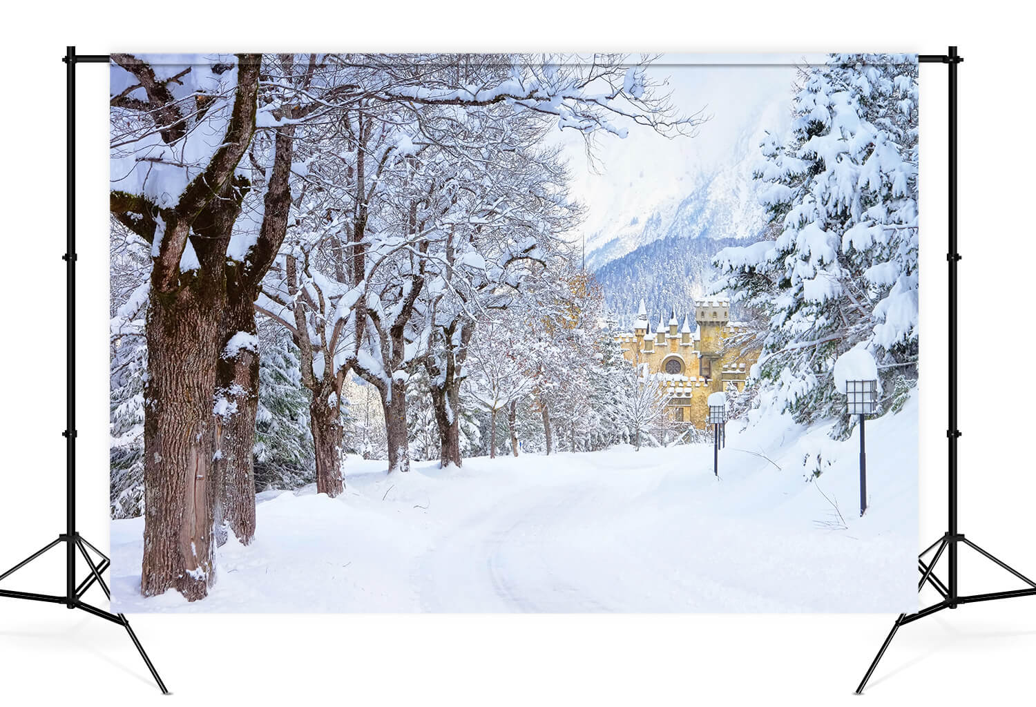 Winter Snowy Trees Road Castle Backdrop UK M11-12