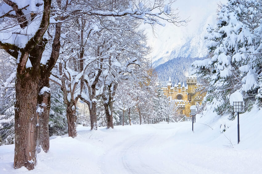 Winter Snowy Trees Road Castle Backdrop UK M11-12