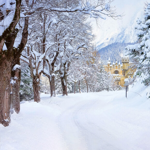 Winter Snowy Trees Road Castle Backdrop UK M11-12