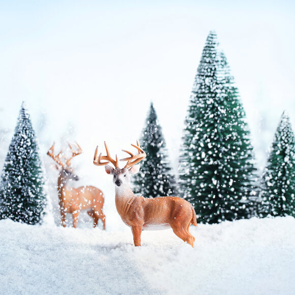 Winter Snow Forest Elk Landscape Backdrop UK M11-13