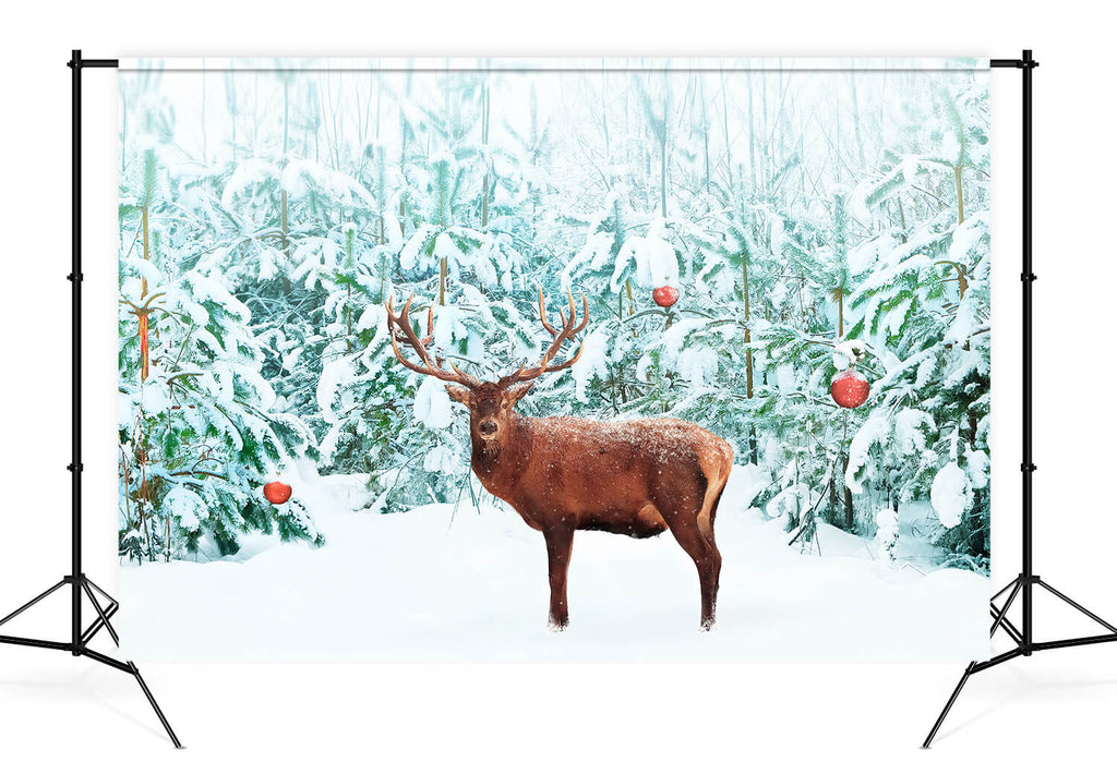 Noble Red Deer Winter Snow Forest Backdrop UK M11-14