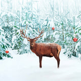 Noble Red Deer Winter Snow Forest Backdrop UK M11-14