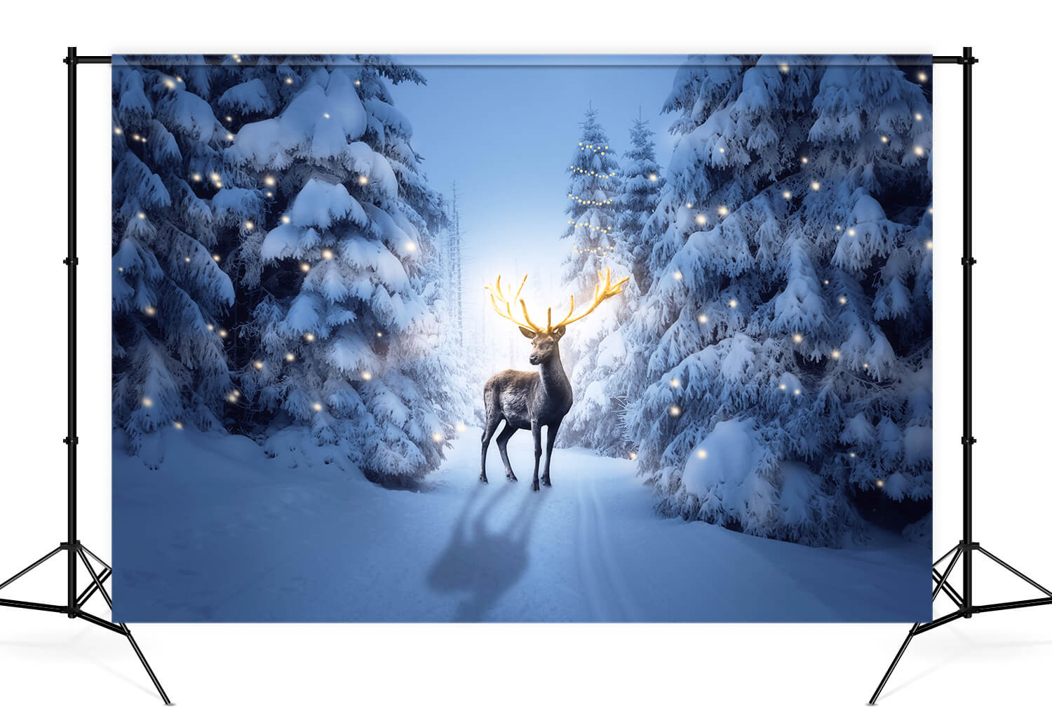 Winter Night Snowy Forest Deer Backdrop UK M11-15