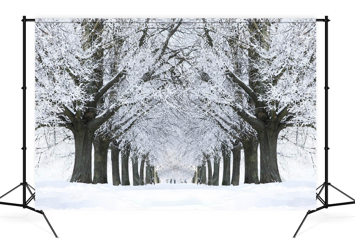 Winter Snowy Road Frozen Trees Backdrop UK M11-17