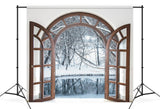 Wooden Arched Window Winter Forest Backdrop UK M11-24