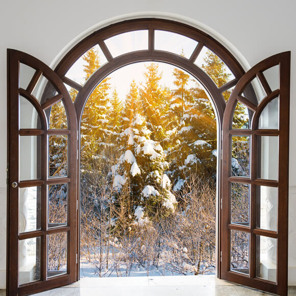 Winter Window Snowy Tree Sunlight Backdrop UK M11-26