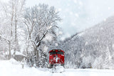 Winter Snow Covered Forest Train Backdrop UK M11-30