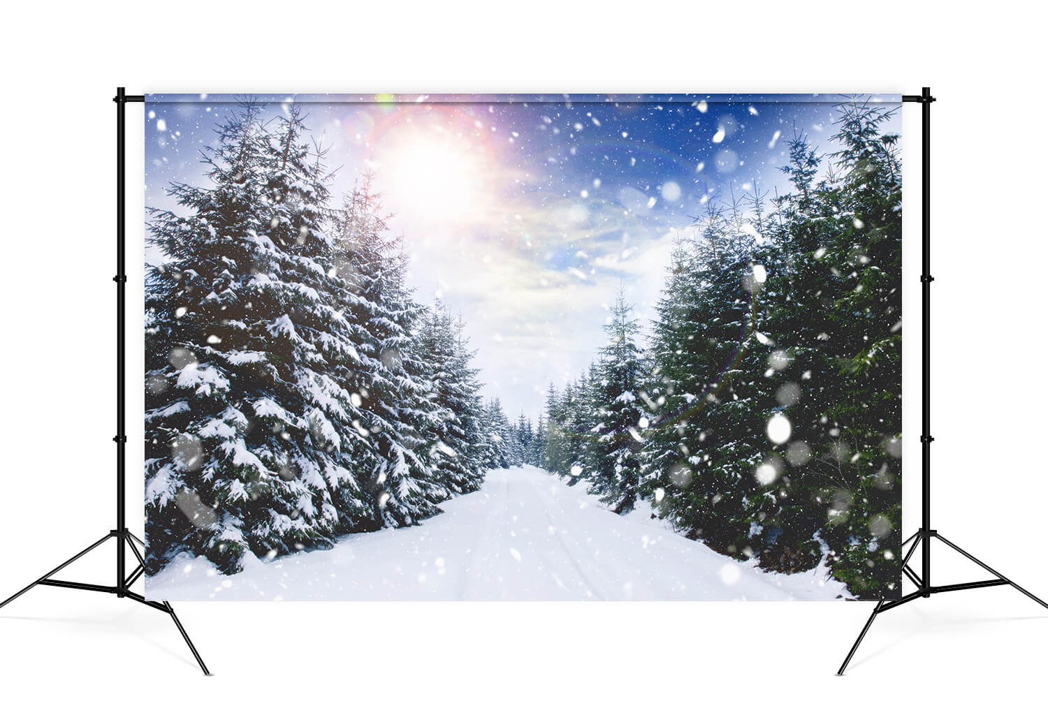 Winter Forest Snowfall Sunlight Landscape Backdrop UK M11-45