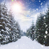 Winter Forest Snowfall Sunlight Landscape Backdrop UK M11-45