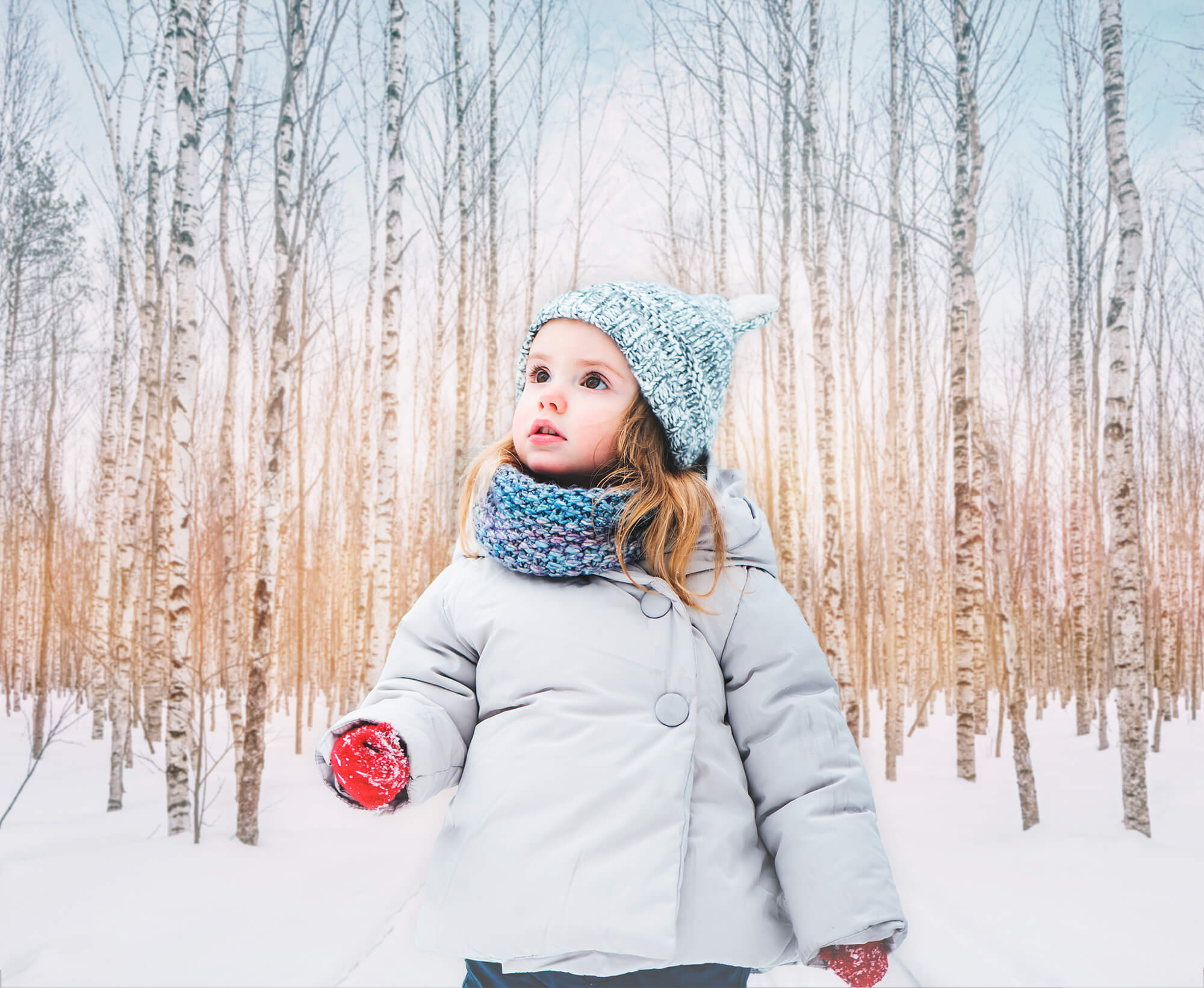 Winter Snowy Forest Park Sunshine Backdrop UK M11-47